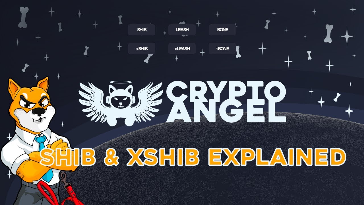 SHIB & xSHIB Explained! What is the Difference?? #shibainu #shibaswap #shibarmy