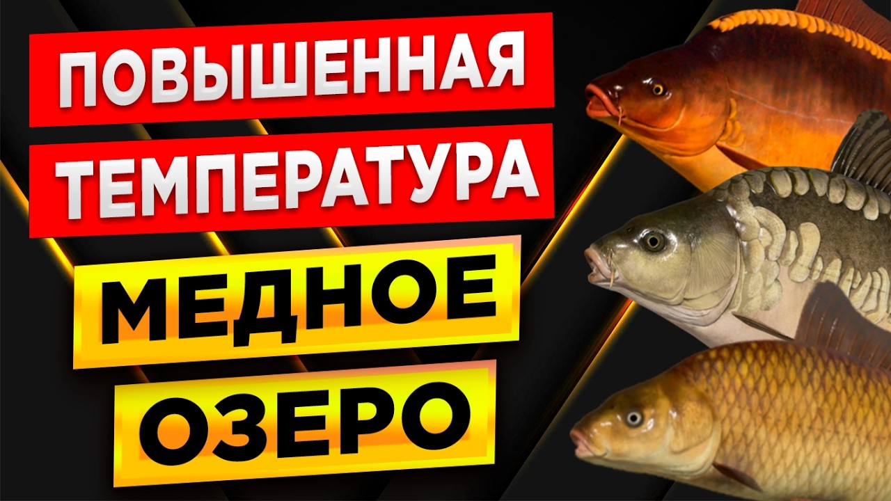 ПОВЫШЕННАЯ ТЕМПЕРАТУРА НА МЕДНОМ ОЗЕРЕ! • ГДЕ ЖЕ ФАРМ? • Русская Рыбалка 4 РР4