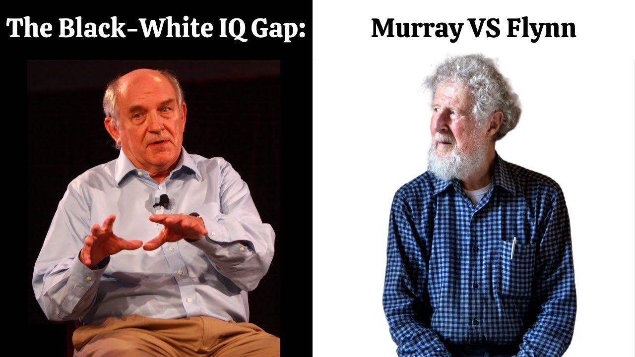 The Black-White IQ Gap: Charles Murray VS James Flynn (2006 Debate)