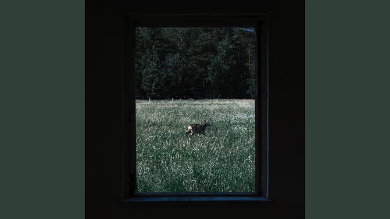 Our Fears Won't Save Us