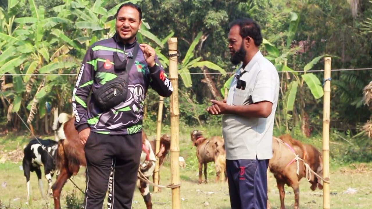নাটোরের ছাগল পালন করে কোটিপতি সেই ভাইরাল দাদার গল্প জানুন কি থেকে কি হয়েছে তিনি 