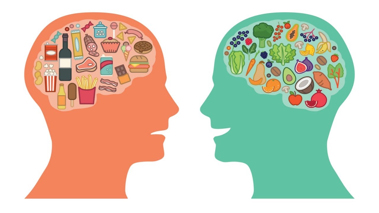 NUESTRO CEREBRO ES LO QUE COMEMOS 🧠