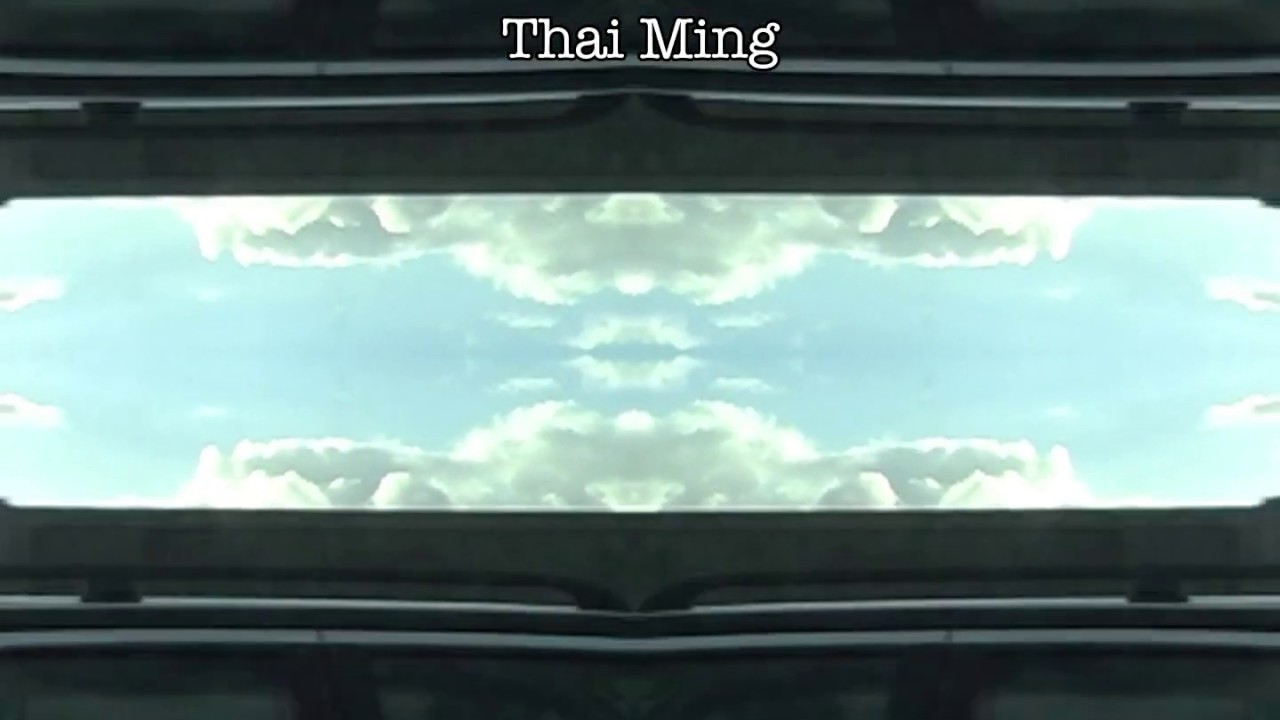 Thai Ming - Geert Waegeman (from the album Paramelodics)