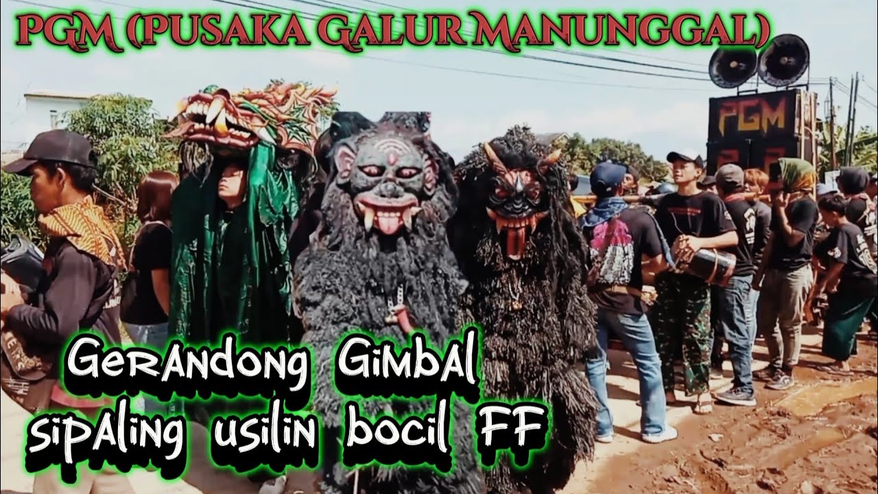 GERANDONG GIMBAL PGM SI PALING USIL  ‼️PUSAKA GALUR MANUNGGAL LIVE LEMBUR SAWAH 💥 GUNACHANNEL