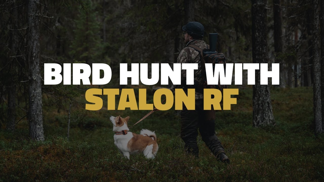 We didn’t plan this… Hunting with Stalon RF I Det här planerade vi inte…