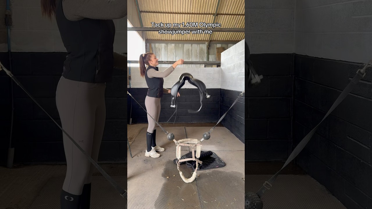 He&rsquo;s so beautiful 🥰 #horse #equestrian #horsegirl #youtubeshorts #tackup #funny #abcd #fyp #horses