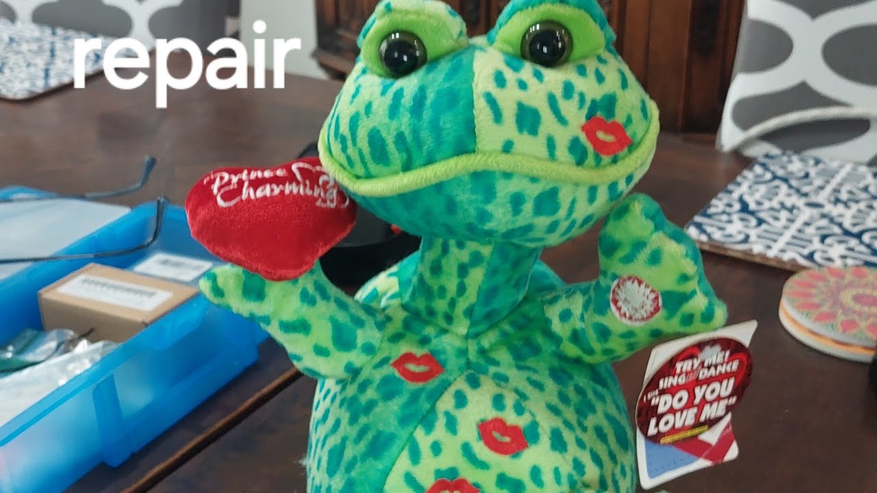 DanDee Valentine's Day wild music animal frog repair
