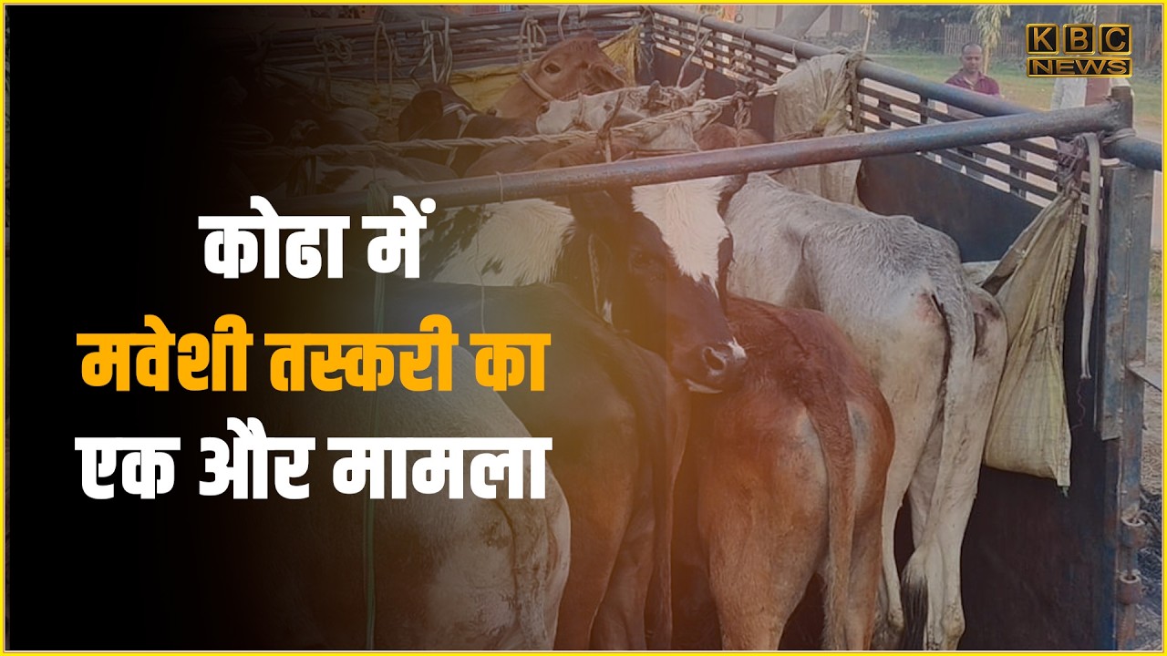 अवैध पशु तस्करी पर बड़ी कार्रवाई, 10 मवेशियों के साथ दो तस्कर गिरफ्तार...