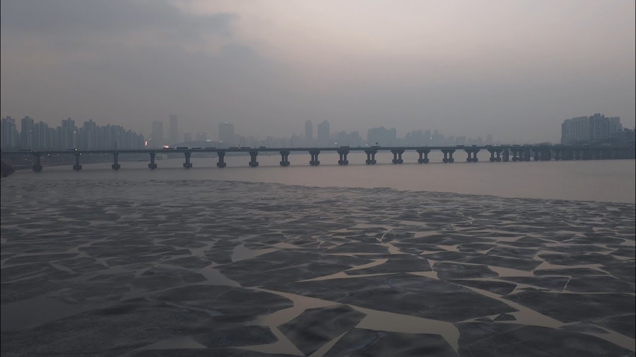 2026.02.11 눈 녹기 전에