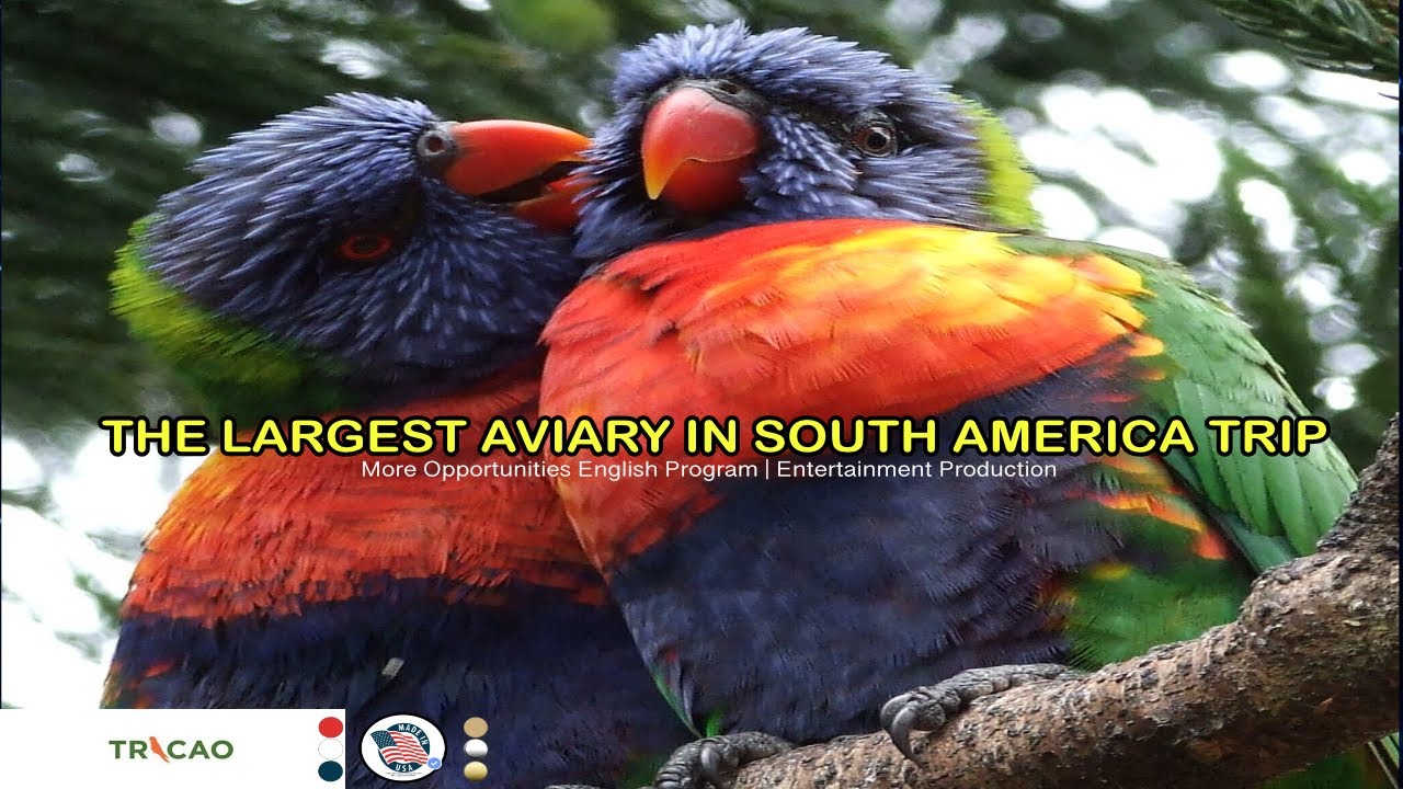 The  Largest Aviary In South America Trip Chapter Six