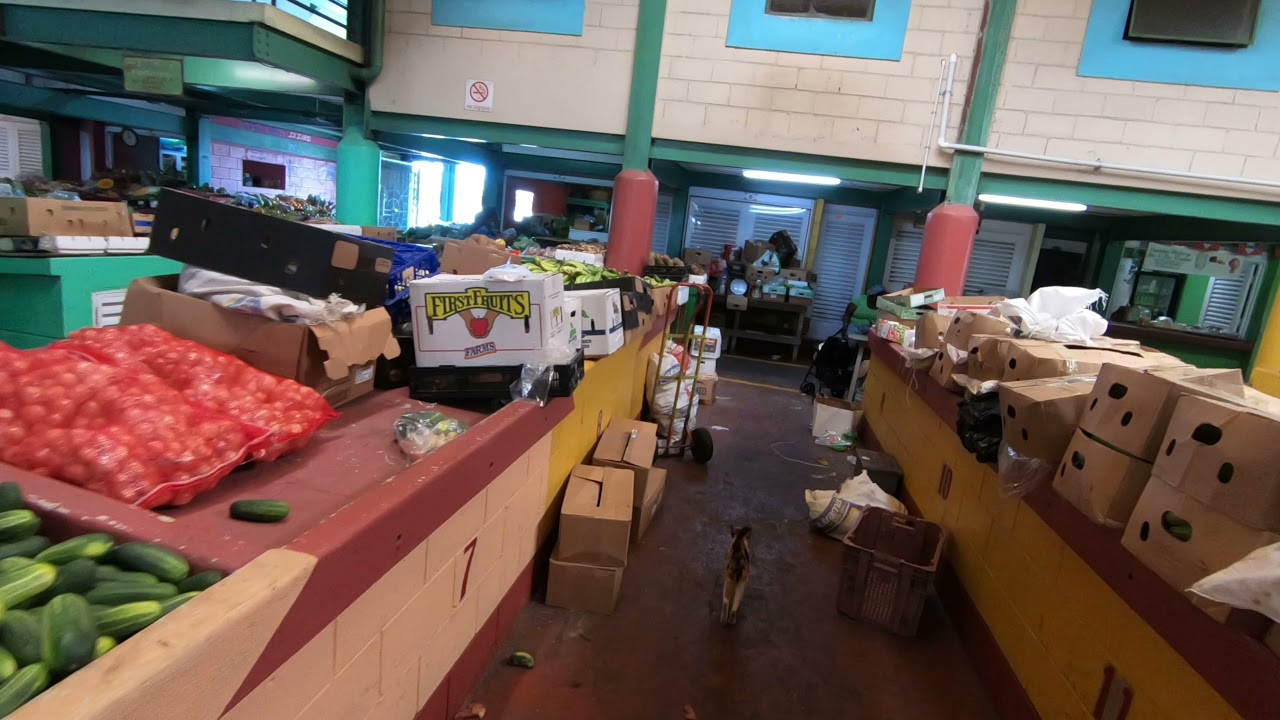 Public Market Complex | Fish Market | Craft Market tour St JOHN'S ANTIGUA AND BARBUDA🇦🇬