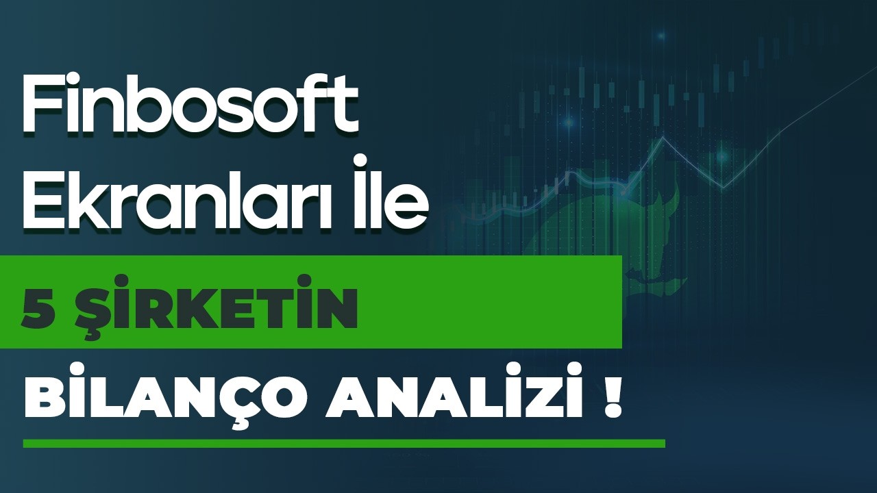 Finbosoft Ekranları ile 5 Şirketin Bilanço Analizi