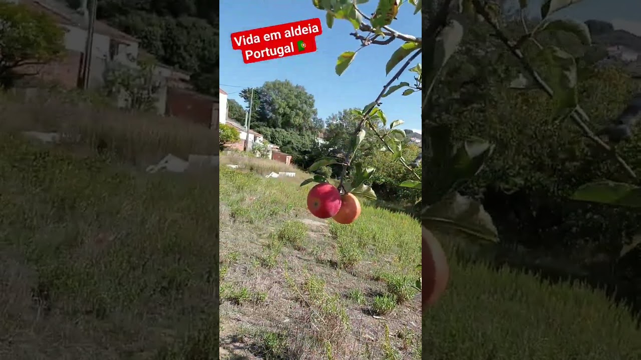 como &eacute; a vida em aldeias, Portugal 🇵🇹