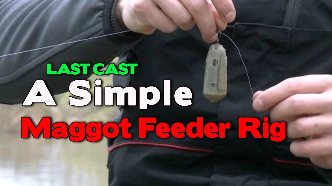 A Simple Maggot Feeder Rig