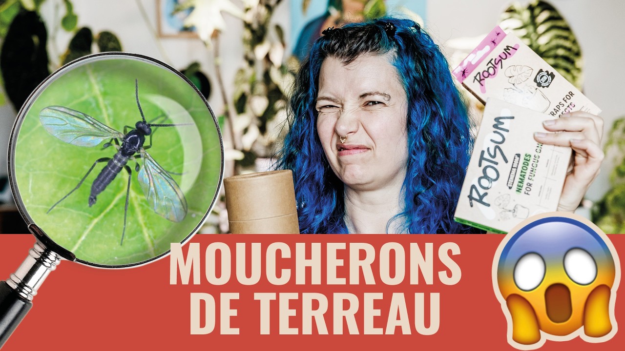 👩‍🌾 TUTO - Éradiquer les Moucherons de Terreau 🪰 (super facile !) 