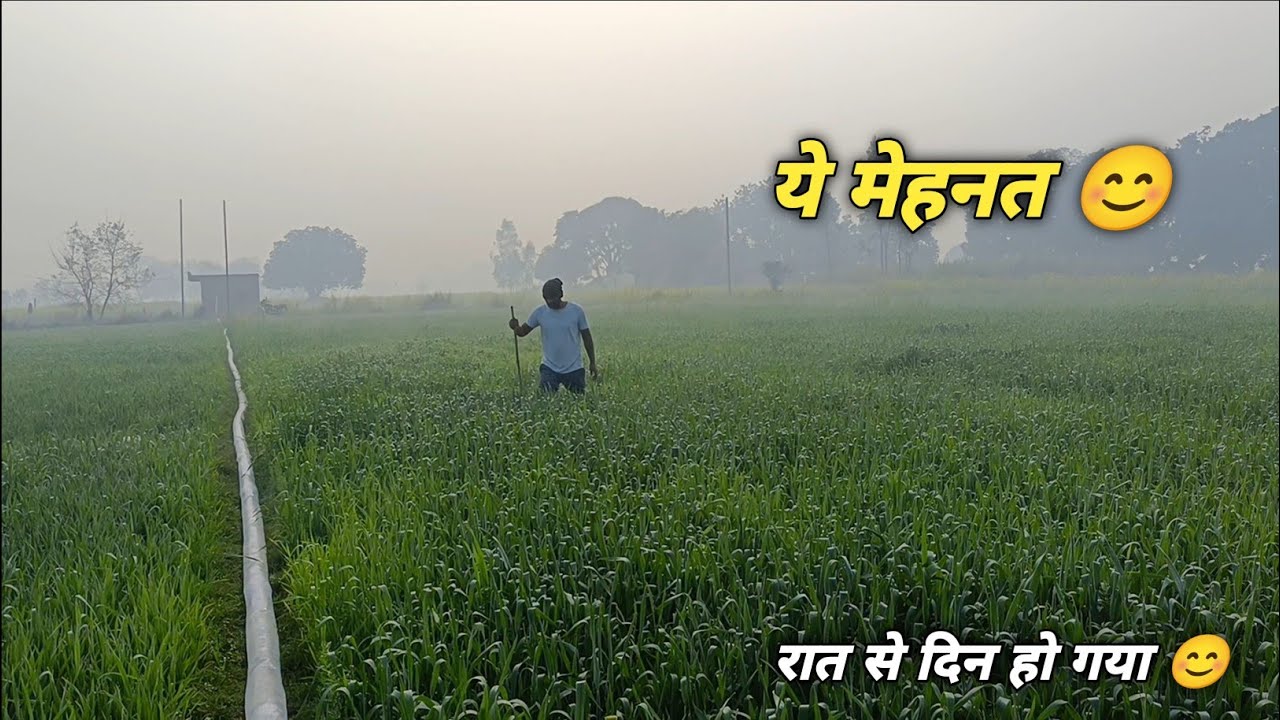 Kohre Bhari Raat Aur Hara-Bhara Khet | Farmer Life Reality | Day 2 The Sonu Vlogs 