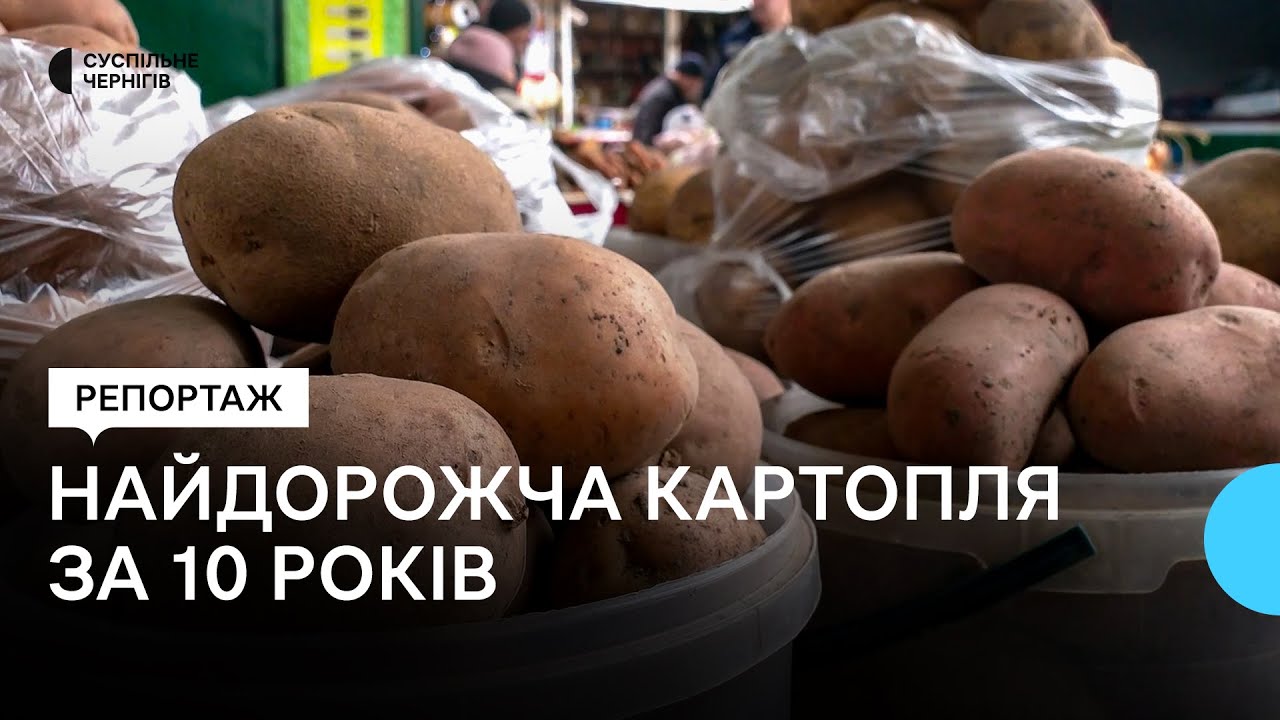 Чому на Чернігівщині зросла ціна на картоплю і на скільки