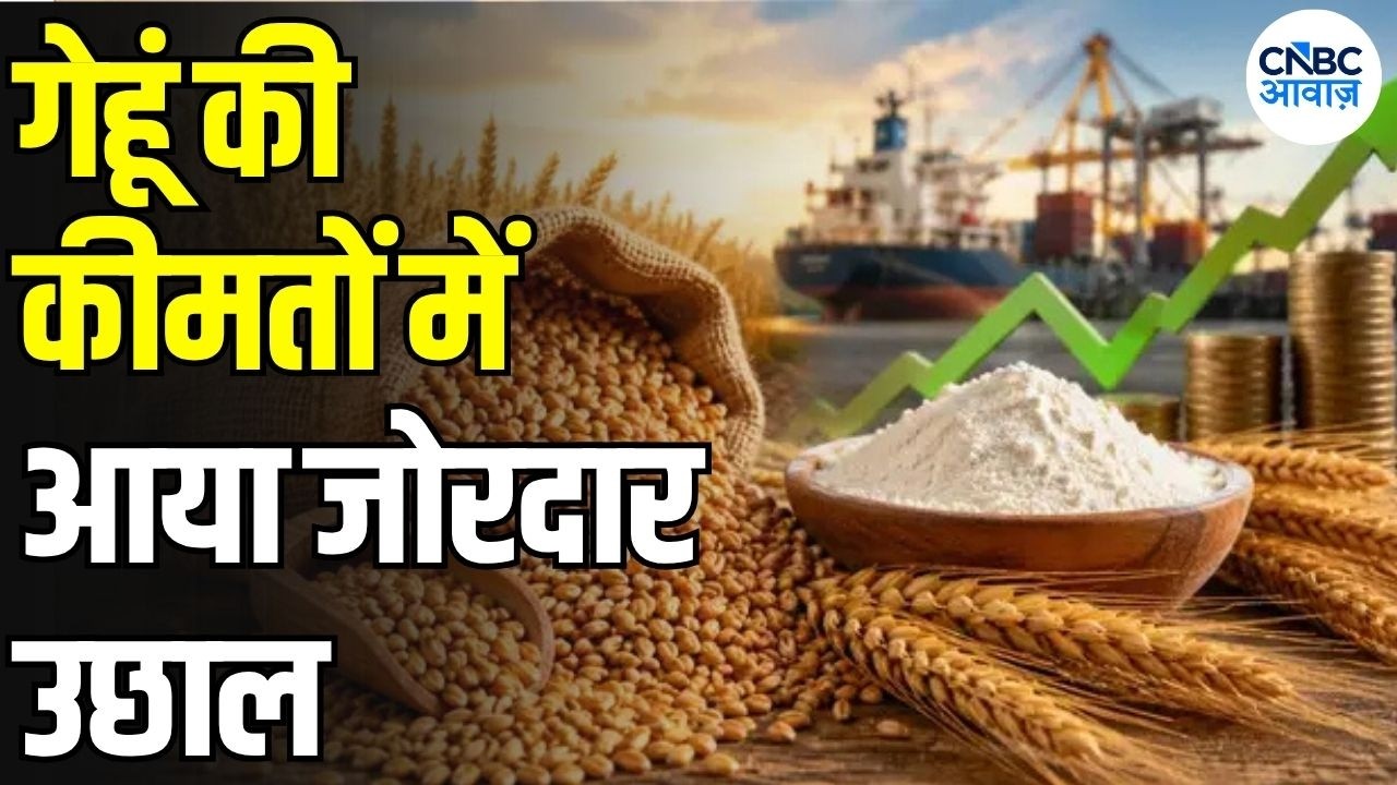 Wheat Price Update: Wheat prices have surged sharply! What has changed since exports opened?