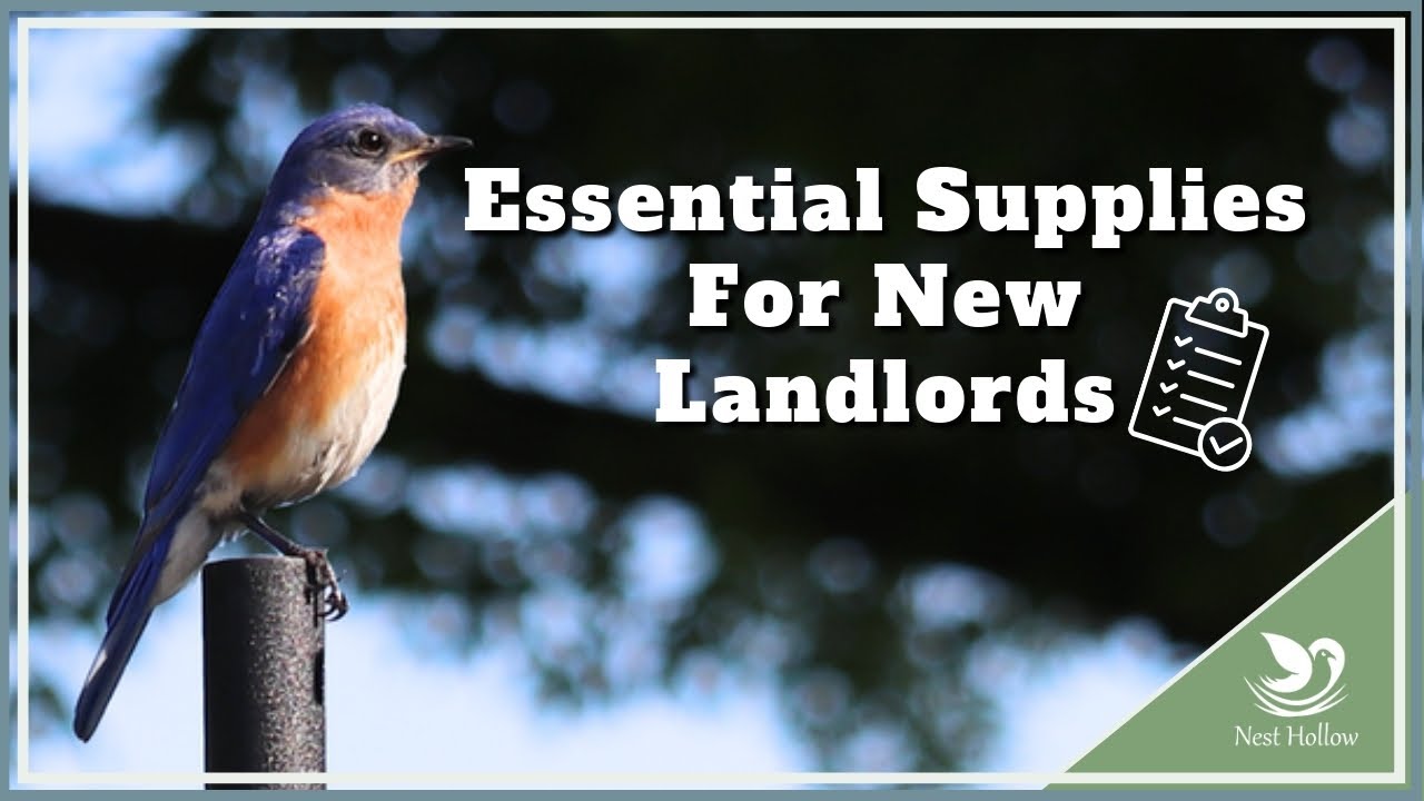 Getting Started with Bluebirds   Landlord Essentials List Plus Cost Estimation