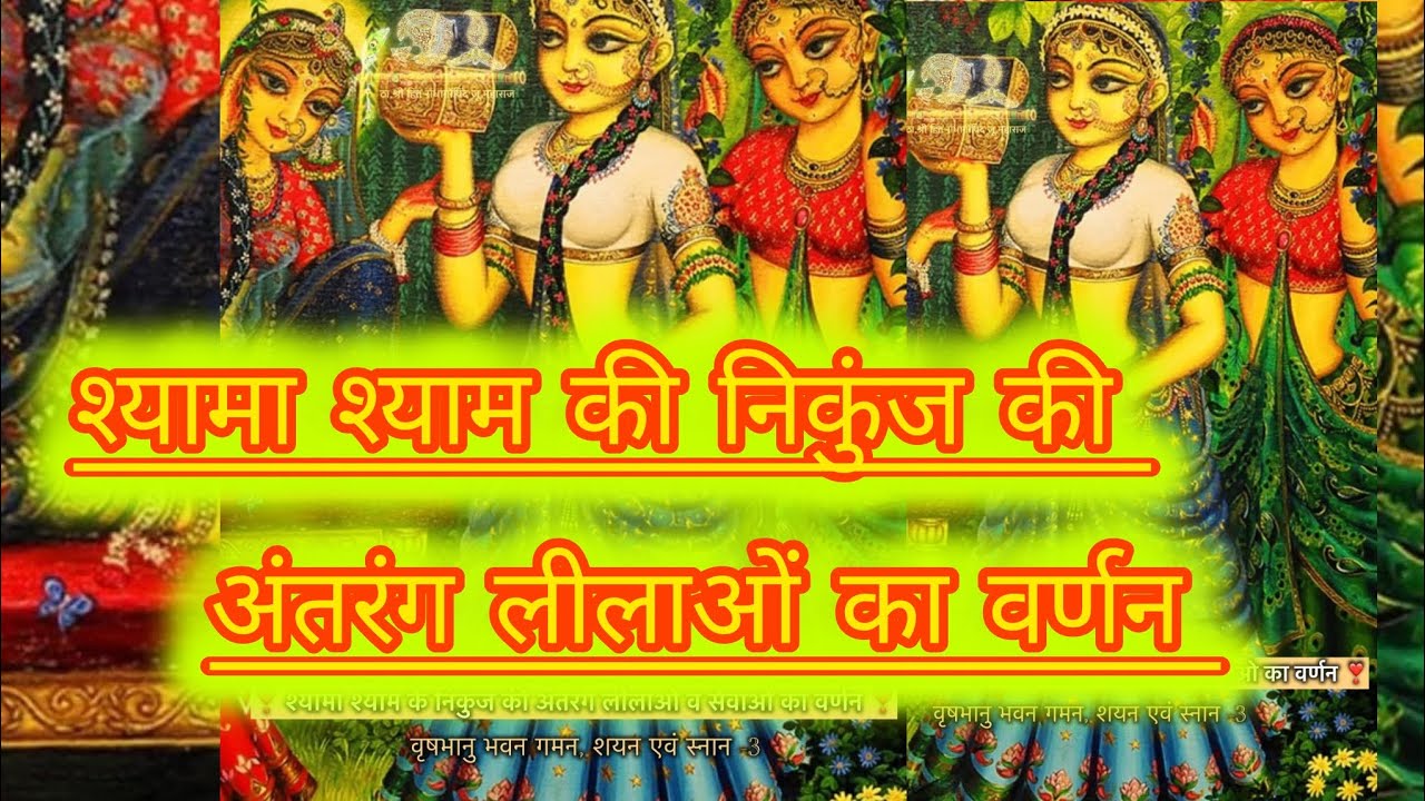 श्यामाश्याम की निकुंज की अंतरंग लीलाओं का वर्णन. भाग.  ##premanandji #leela #nikunjleela #radha