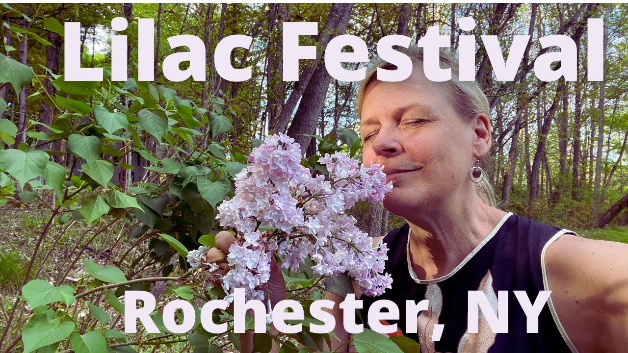 Annual Lilac Festival in Rochester NY