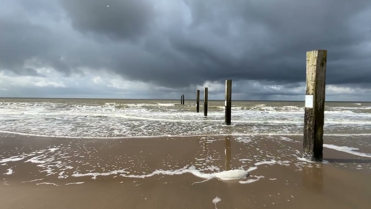 North Sea Waves in the Netherlands Dutch Beach with Wooden Poles (Groynes)