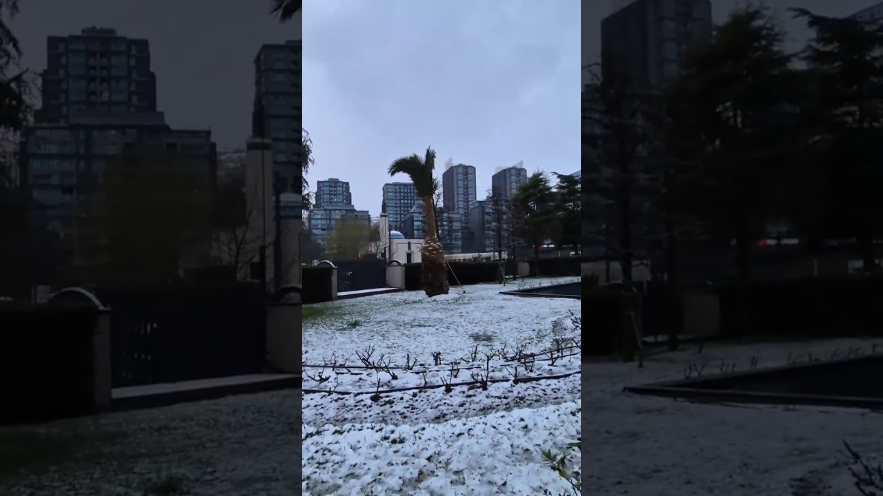 snowing 🌨 raining 