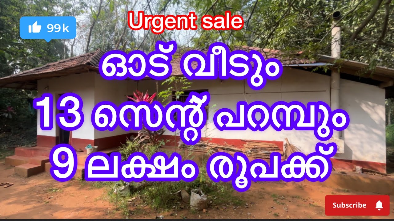 #പാലക്കാട് ജില്ലയിൽ കോങ്ങാട് പഞ്ചായത്തിൽ#പറമ്പ് #realestate #palakkadproperties #lowbudjet #home 