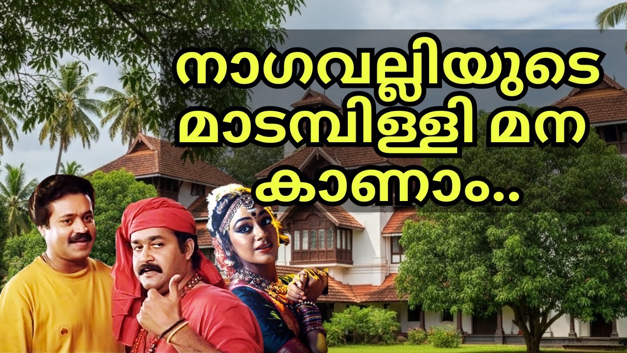 നാഗവല്ലിയുടെ കൊട്ടാരത്തിൽ ചെന്നപ്പോൾ... 😱😵 | Manichithrathazhu | Movie Location| #danddjvlogs #man