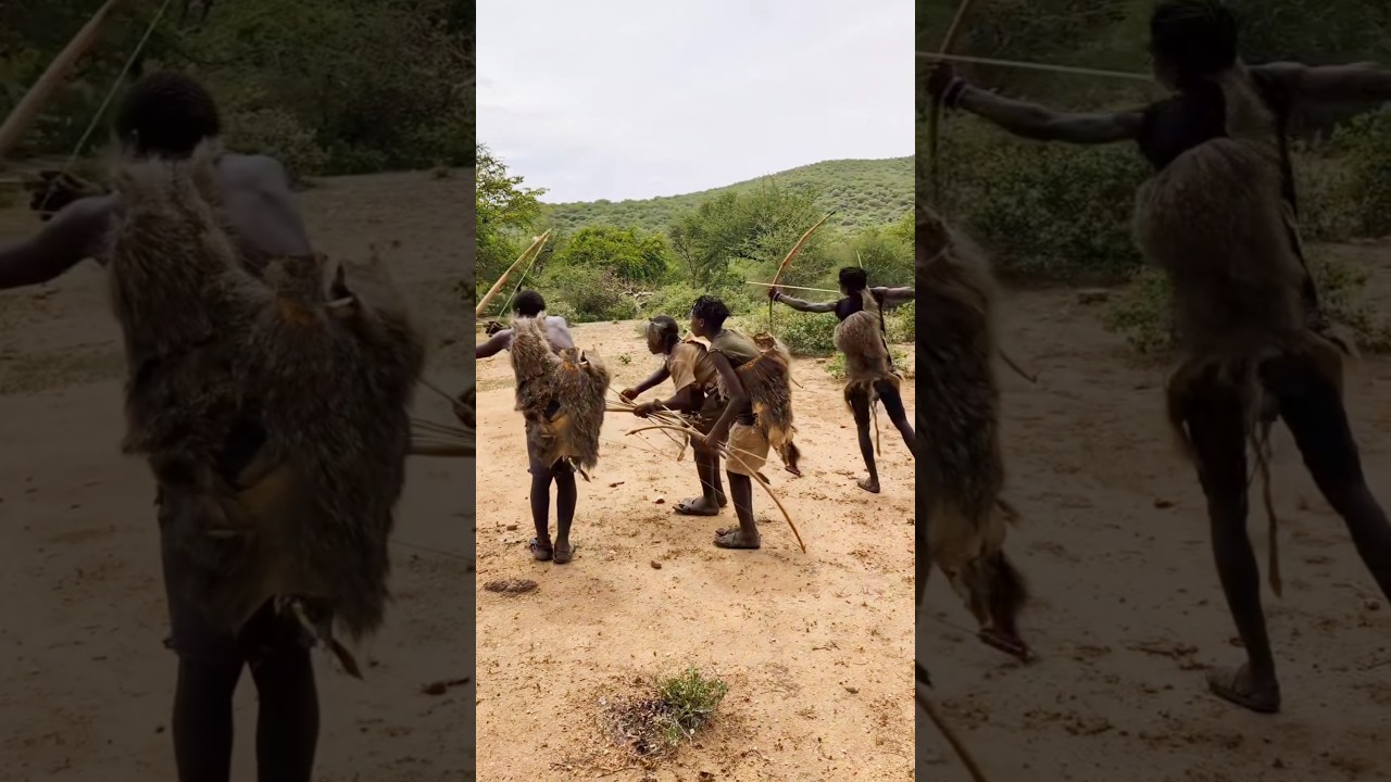 They Reached Too Far&hellip; But The Wild Struck Back | Bush Awareness!