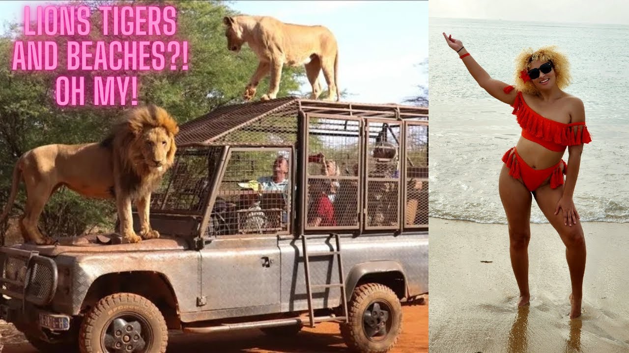 Pt 3 Senegal Vlog ~ WILD! LION FEEDS ON TOP of ME! 😳😖  ~ Hotel Riu Baobab ~ Bandia Reseve