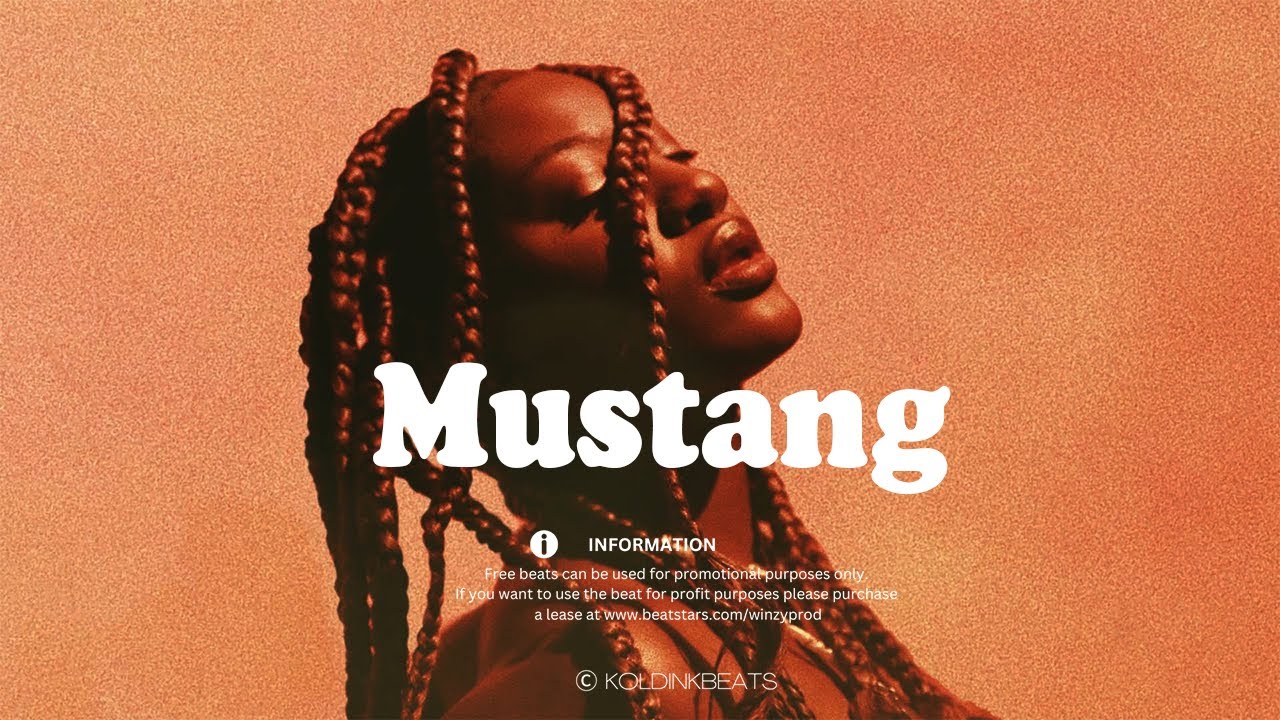 Omah Lay x Ayra Starr Type Beat 2025 | Emotional Afrobeat Instrumental | [Mustang]