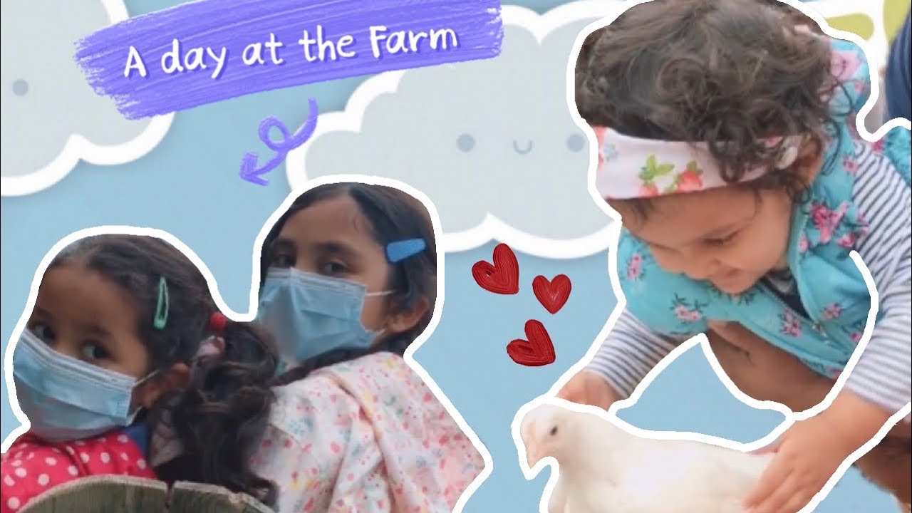 A day at the Farm🐮🐷Vlog🐔West Lodge Farm