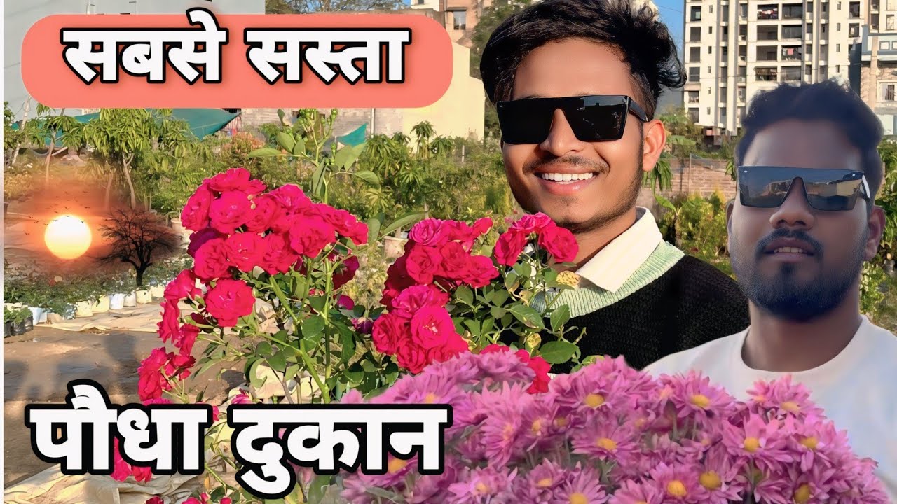 Sasbe sasta nursery shop | cheapest nursery shop in jamshedpur❤ 