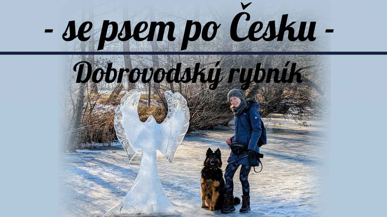 Se psem po Česku: sochy u Dobrovodského rybníka
