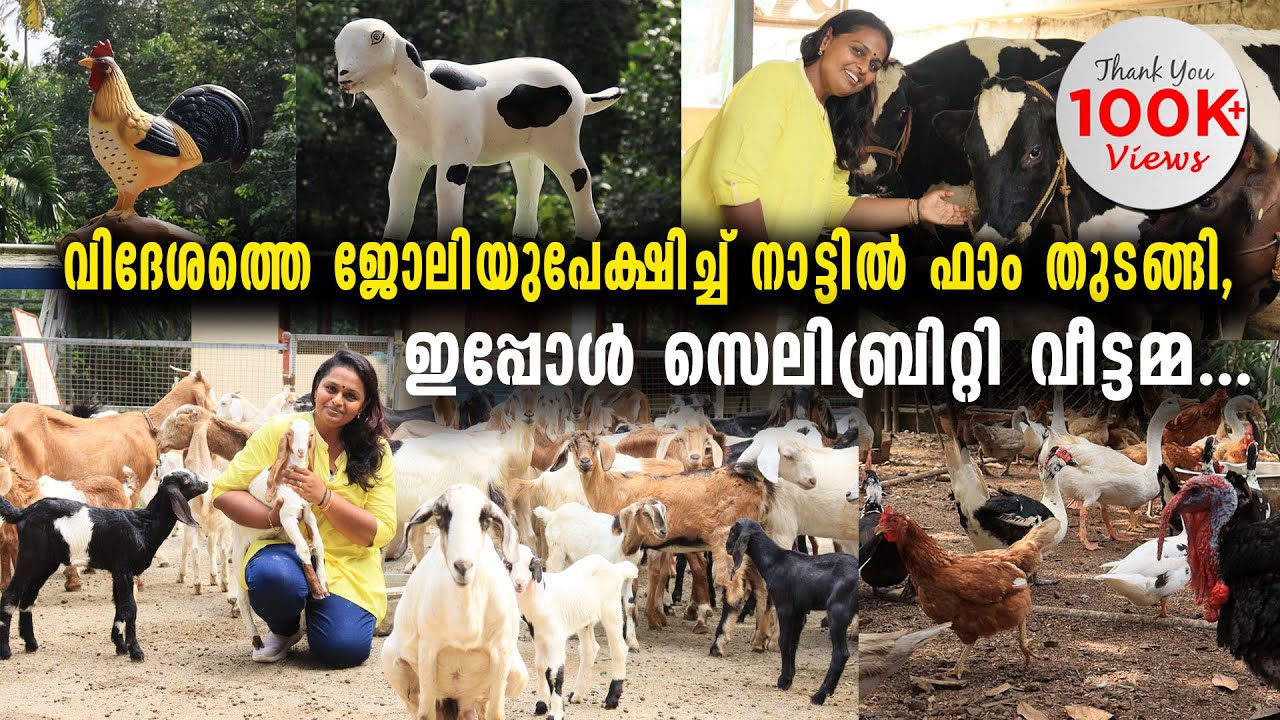 കളിയാക്കിയവർ ഇപ്പോൾ കയ്യടിക്കുന്നു.....സീറോയിൽ തുടങ്ങിയ ഫാം ഇന്ന് സൂപ്പർഹിറ്റ്