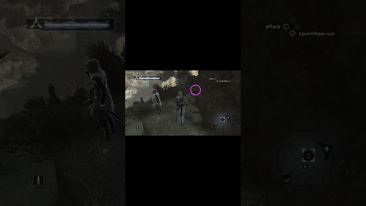 20/20 Assassins Flags  #assassinscreed #flags   #completionist