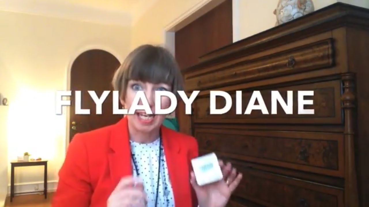 Flylady Diane - Zone 5 (Declutter, March 2017)