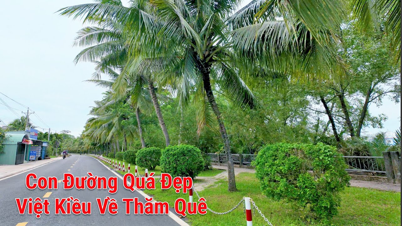 Con đường mới quá đẹp - Thời tiết mát mẻ Việt kiều về thăm quê mùa hè