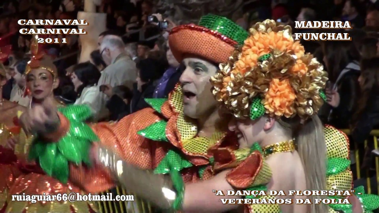 Carnaval na Madeira 2011, Parte VI, Funchal, Carnival, Karnevalsumzug - Veteranos da Folia
