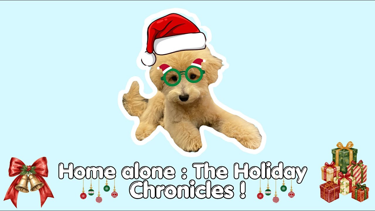 Home Alone: The Holiday Chronicles 🎄🐾
