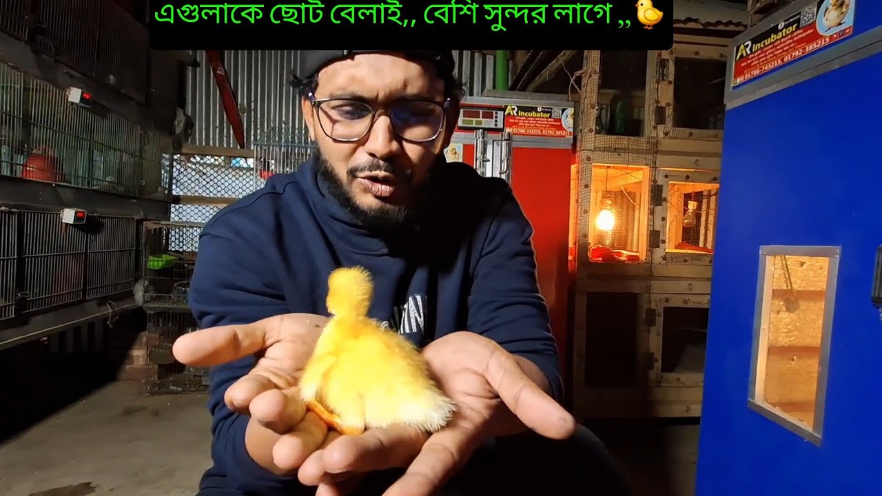 এগুলাকে ছোট বেলাই,, বেশি সুন্দর লাগে ,,🐤