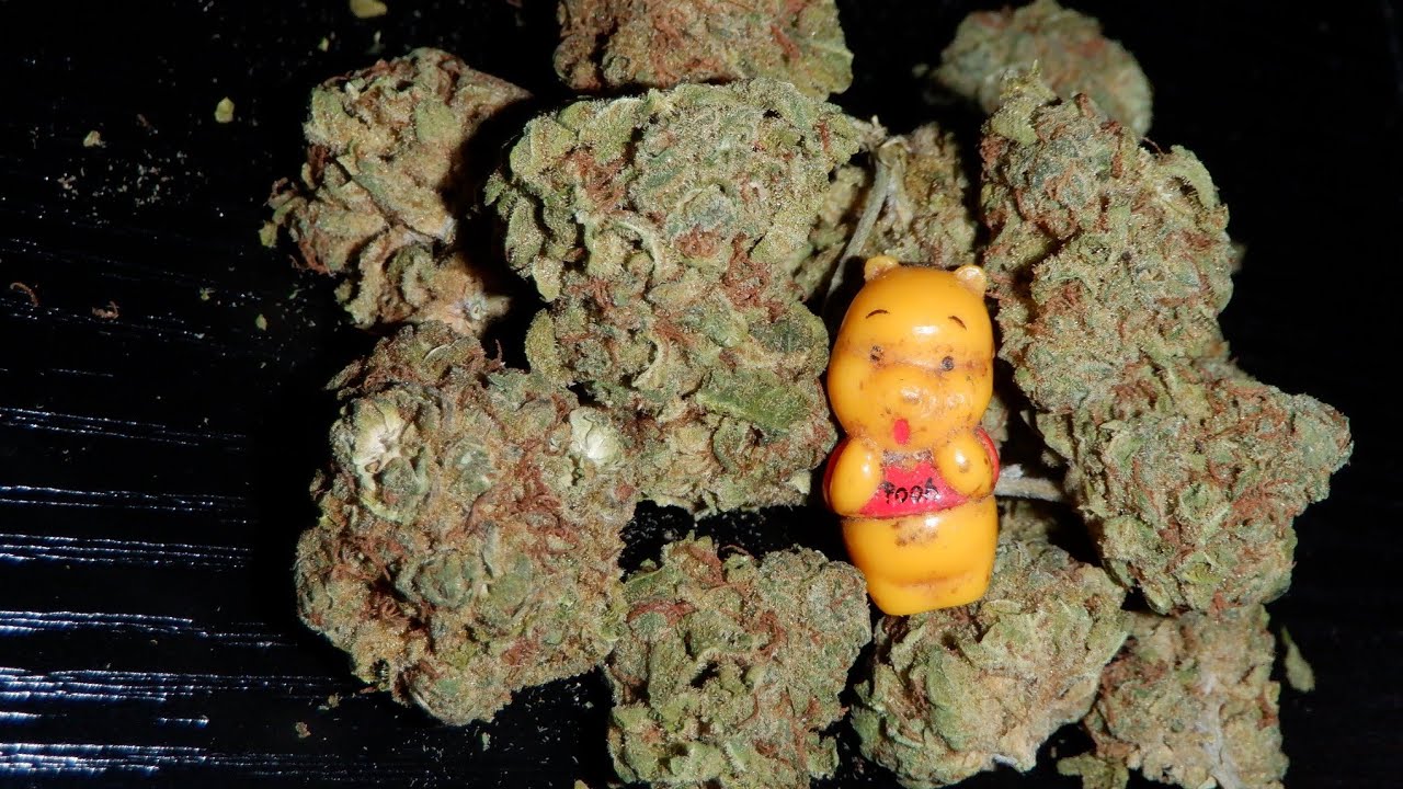 Strain Review Jack Herer By Good Supply