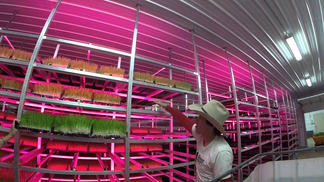 Cherokee Park Ranch Fodder Growing 101