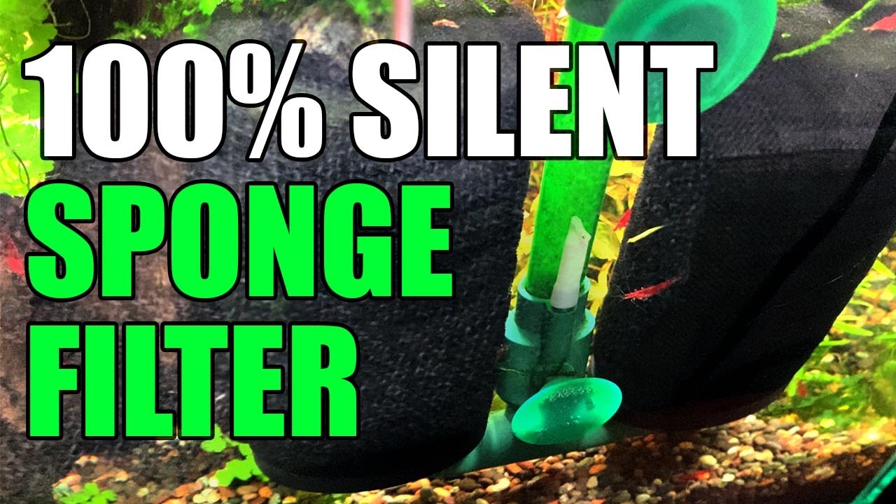 How to ACTUALLY silence a noisy sponge filter