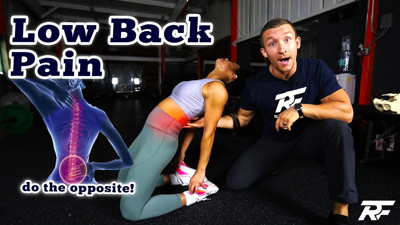Low Back Pain from Sitting Too Long | Do The Opposite!