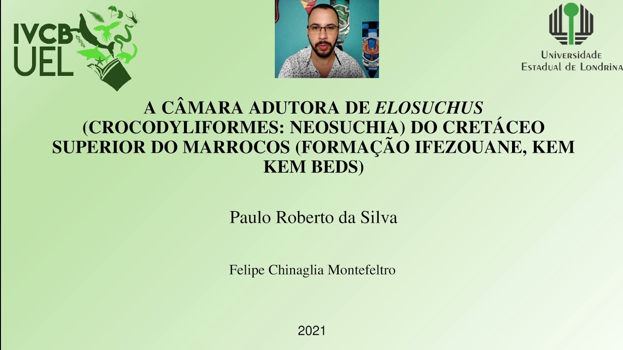 Paulo Roberto da Silva