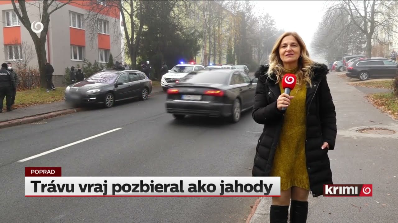 Tr&aacute;vu vraj pozbieral v lese ako jahody (NOVINY TV JOJ)