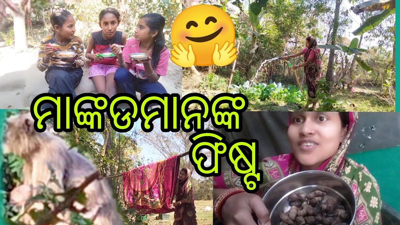 Village Vlog #odia video #❤ trending vlogs #Tulasilife vlogs 