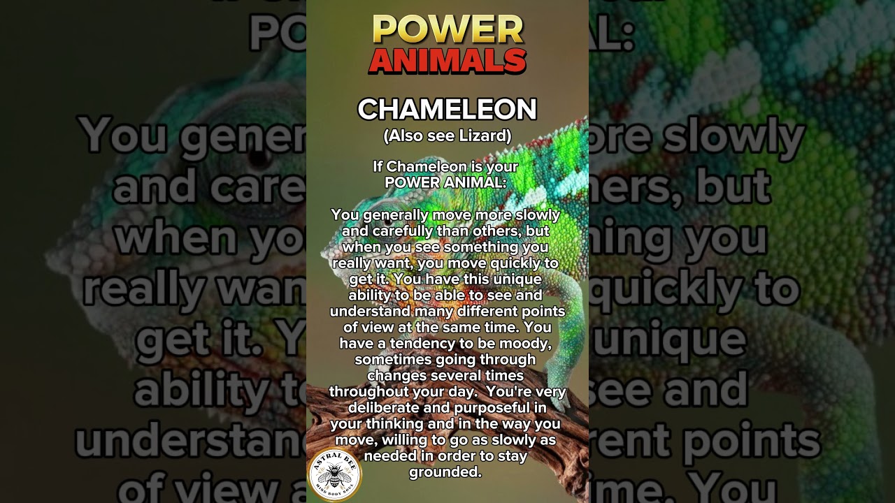 Chameleon – as a Power Animal | 